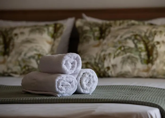 公寓 Lakis House 尼基季